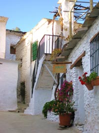 group walking andalucia