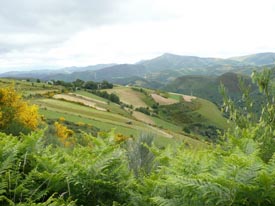 group walking camino de santiago