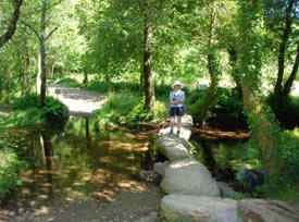 group walking camino de santiago