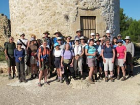 group walking orange blossom coast